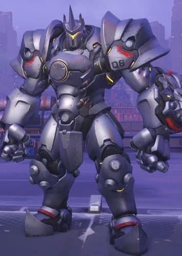 Reinhardt