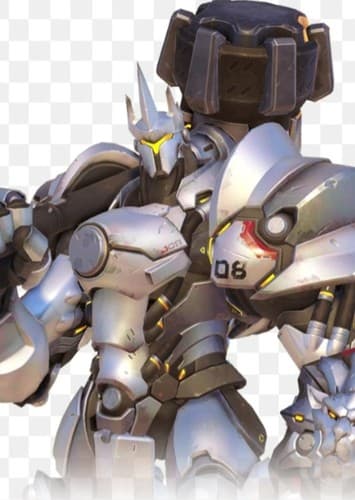 Reinhardt