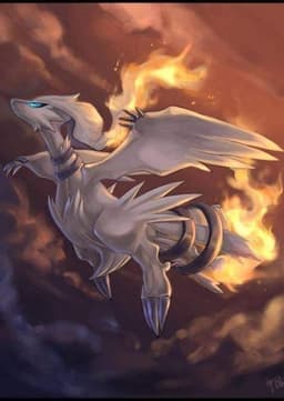 Reshiram