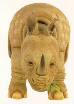 Rhinoceros