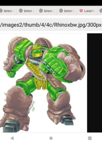 Rhinox