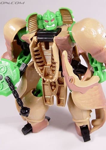 Rhinox