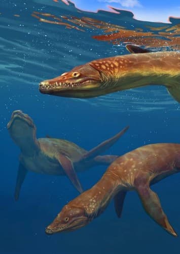 Rhomaleosaurus