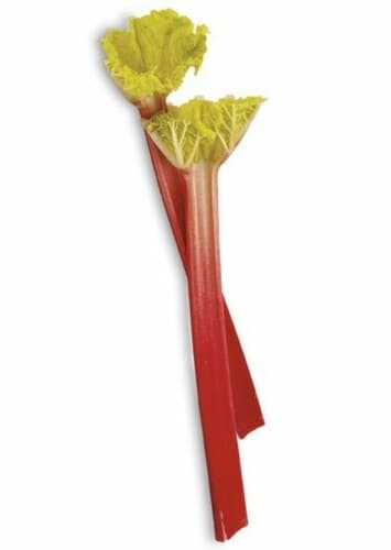 Rhubarb