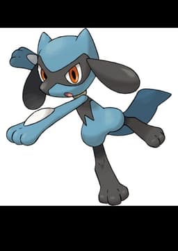 Riolu