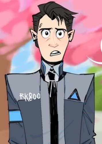 Rk800