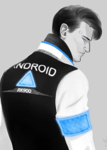 Rk900