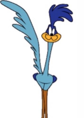Road Runner
