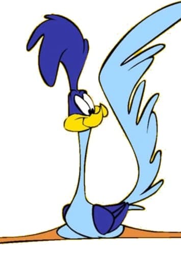 Road Runner