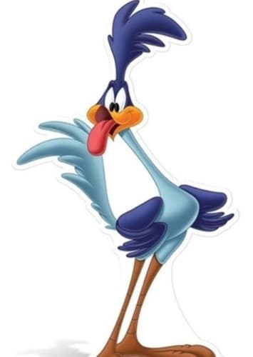 Road Runner