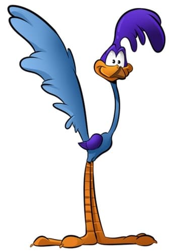 Road Runner