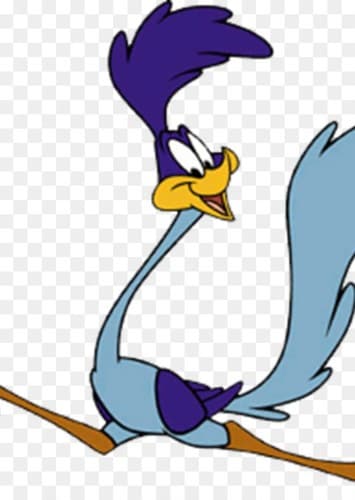 Road runner ( mute)