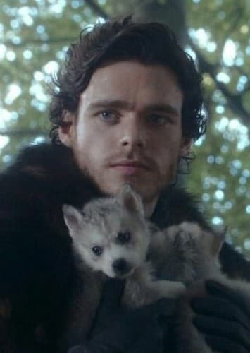 Robb Stark