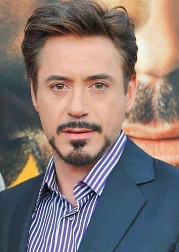 Robert Downey Jr
