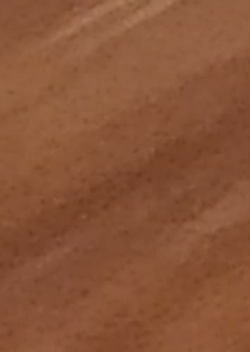 Robert E.O. Speedwagon