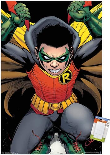Robin