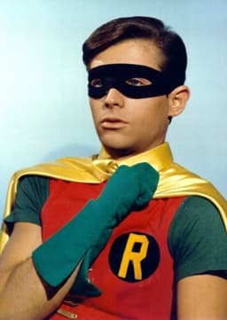 Robin