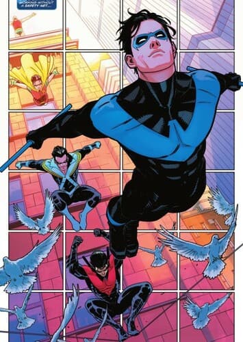 Robin/ Nightwing