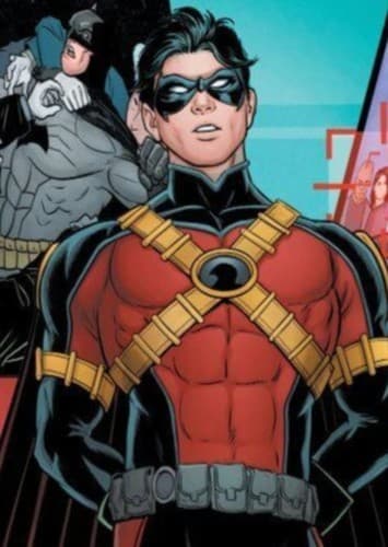 Robin / Red Robin