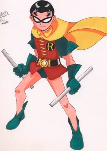 Robin "The Boy Wonder"