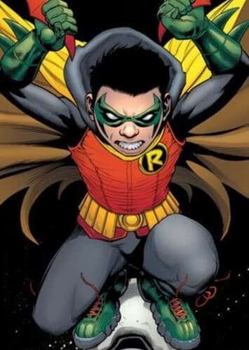 Robin V