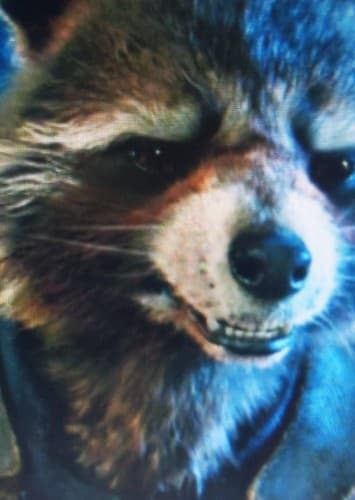 Rocket Raccoon