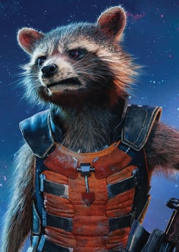Rocket Raccoon