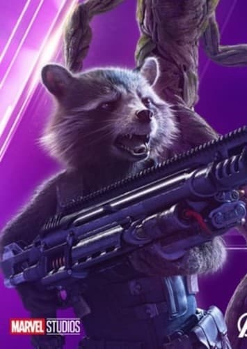 Rocket Raccoon