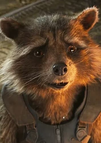 Rocket Raccoon
