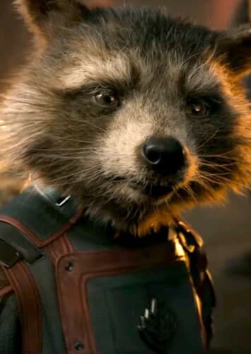 Rocket Raccoon