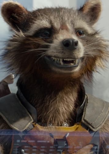 Rocket Raccoon