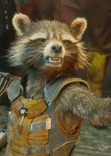 Rocket Raccoon