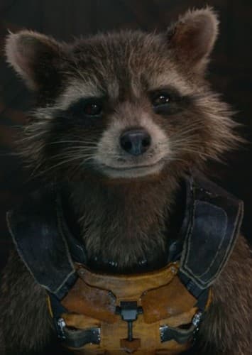 Rocket Raccoon