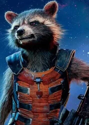 Rocket Raccoon