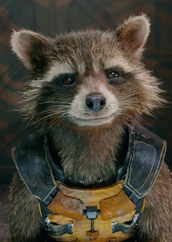 Rocket Raccoon
