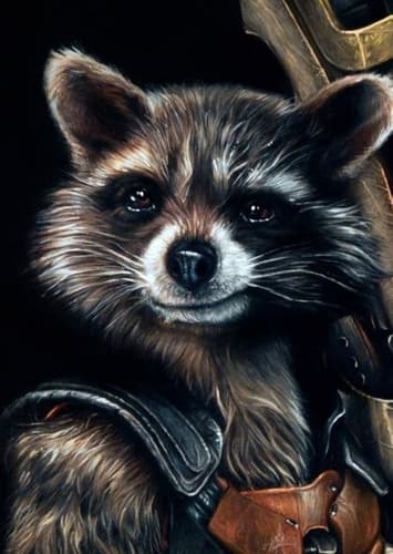 Rocket Raccoon