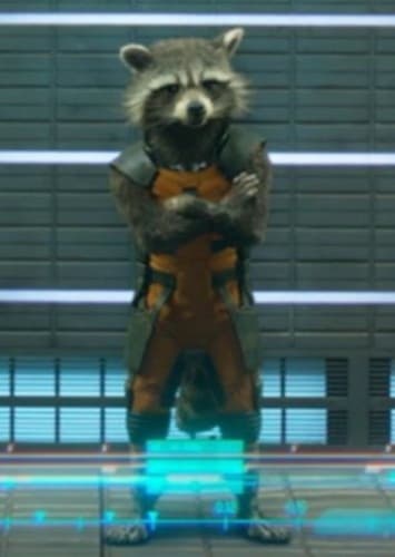 Rocket Raccoon