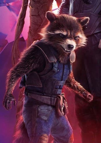 Rocket Raccoon