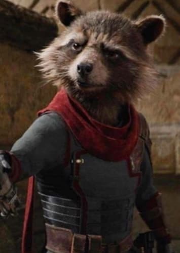Rocket Raccoon