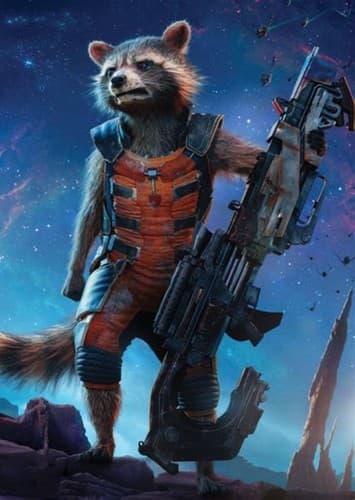 Rocket Racoon