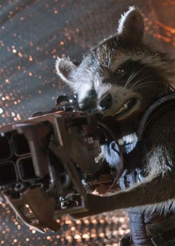 Rocket Racoon