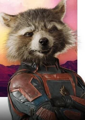 Rocket Racoon