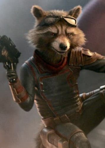 Rocket Racoon