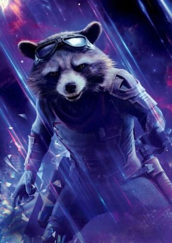 Rocket Racoon