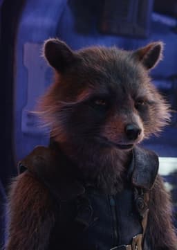 Rocket Raccoon