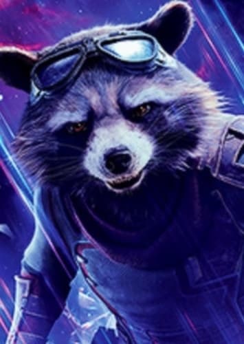 Rocket Racoon 🦝