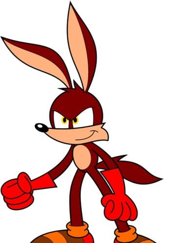 Rocket the coyote