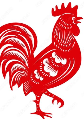 Rooster