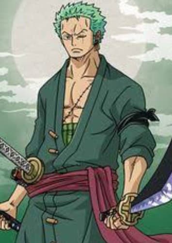 Roronoa Zoro/Pirate Hunter