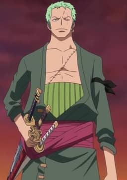 Roronoa Zoro (Another Option)